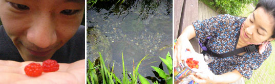 �ߌ��쌹���@�삢�����Ƃ�