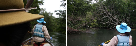 ���A�l�̎肪���ɐL�тĂ���̂��z���ł���ʐ^�B�E�A�|�؂Ɉ͂܂��