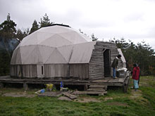 �t���[�h�[��