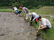 ���c�ƂƓc�A��