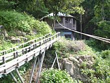 �ꉮ���猩���P�Q�p�̉�