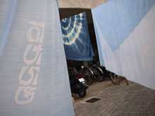 ���Ɋ|�����Ă���Z���Y��ɐ��܂��Ă����͓��a�q��