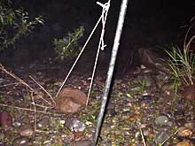 ��ԒႢ���̃��[�v�B��̒��ɓ����ĊO���̂͂�߂悤�Ǝv���b��I�ɑ傫�Ȑ΂ɂ�����