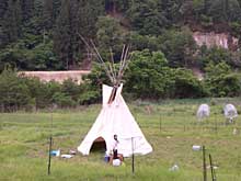 �͌^����Ȃ��e�B�s�[