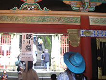 ����L�A����