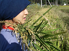 ���܂�ď��߂Ă̈��