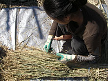 �P�{�P�{�E��