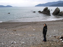 ���{�C�A�Z���̖���