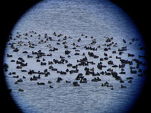 ���󕨂����ԁA�����͕���ł��Ȃ��B