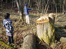 �E���Ă����d�A�d�E��