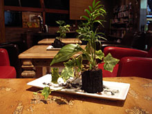 �Y�I�A�V�X�n��A���c����ɒ�������i