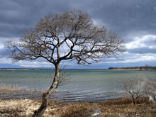 ����̕��i�A������ƕςȐF�̔��i��