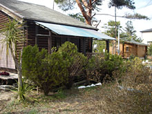 �j�]�Q�X�g�n�E�X