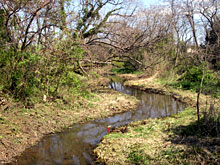 ��������ꂢ��