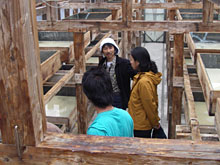 �l���\�m�̎ʐ^�A���ꂵ���B���ĂȂ������A�R�����m�̃q������