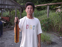 ��₳�ꂽ�L���E���A�E�c�{