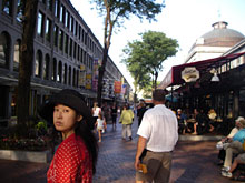 �[�Ă��{�X�g���A�Q�l�ŎU��