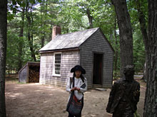 �X�̒��łP���A�\���[�̃L���r���i���v���J�j