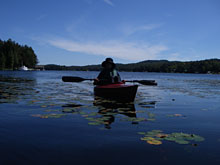 �@�̒r����΂܂�