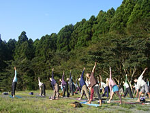 �j�L�b�`���A���̃��K