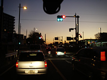 ���������̎ʐ^�B�����Ⴄ�̂��Ėl�����H�A���������閾���B