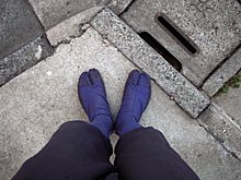 �����������̏o�A�W�J�^�r