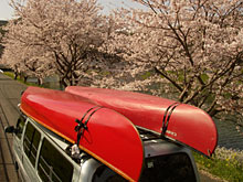 ���T�ɏK���}�b�g�������q�A���炭���