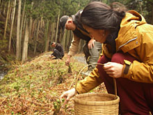 �����͂�̕��i�A�����݂����