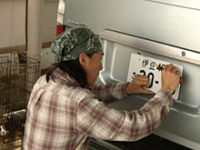 �����ԋ����A�ɓ��i���o�[�擾