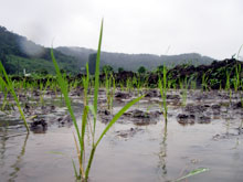 �̂������A��