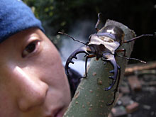 �����̉ԁA�N���K�^�悵��