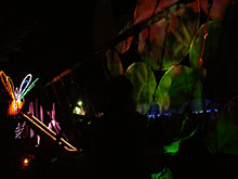 �Ђ���Ղ�̗l�q