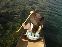 ���̒��̉ԉ΁A�����x�̍����{����