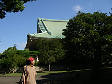 �s�J�s�J�ɂЂ��鏰�B�����V�C�B