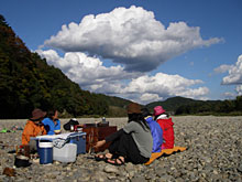 ���ꂢ�ɕ��񂾂R�F�A�L����̉��Ń����`