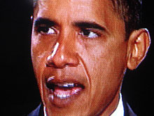 �܂�������̊G�����郏�V����A�I�o�}����