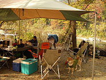 �g�t�ƃe���g�A�P�l�ƂP�C