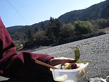 ���鐴���̉e�G�Ɩl�B�A���ٓ�