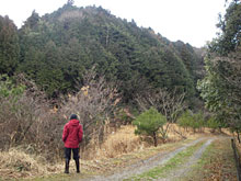 ���[���P�[�L�A�������w