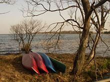 �E�h�D���{�[�g�Z���^�[�̕Еt���A���i�΂̌i�F