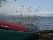 ��������P������A���ɂ������