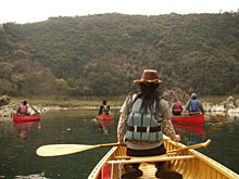 �������A�l���\�������