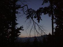 �E�����{�i�C�m�V�V�̎q���j�Ɛ키���J�A���̊������ƂĂ��D��