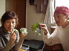 �Ҋ����A���ݐe�q