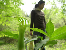 ���ԏ�\��n�ɂāA�~�n���ɂ�