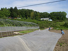 ���Ⴊ�����̕c���������_���{�[���A�r�j�[����������