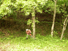 �ʐ؂肵�����A�`�F�[���\�[�����Ȃ�