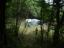 ���n�����W���K�C���ō�����T���_�Ƃ��тƍ��쓤���A�͂���߃����h