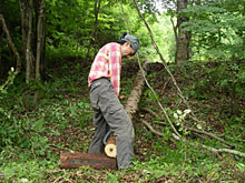 ���̔�ނ��A�����^��