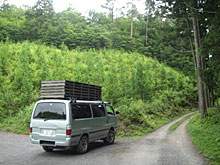 �[�H�̕��i�A�p���b�g�^��